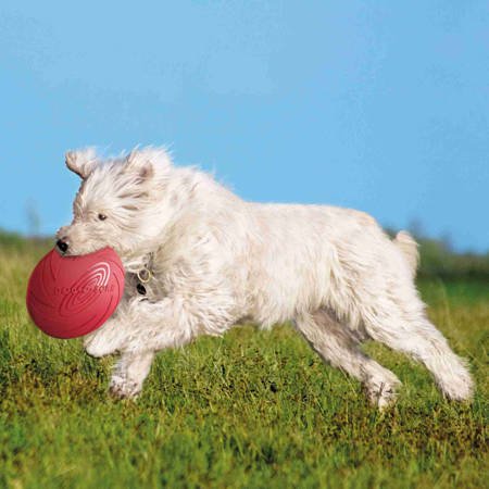 Gumowy dysk, frisbee dla psa 22 cm