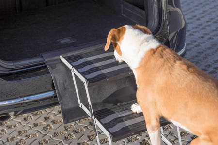 Składane schody dla psa potrójnie, aluminium/TPR, z regulacją bieżnika na dwie wysokości - 37×57×120cm - do 75 kg
