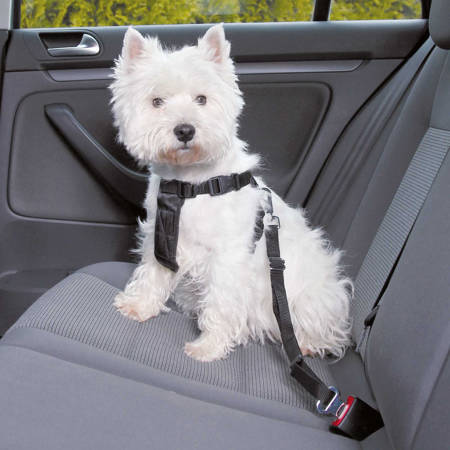 Szelki do samochodu w komplecie z pasem bezpieczeństwa dla małego psa czarne rozmiar XS