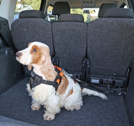 Szelki samochodowe dla psa + smycz do pasów bezpieczeństwa Air 3D rozmiar L Pomarańczowe