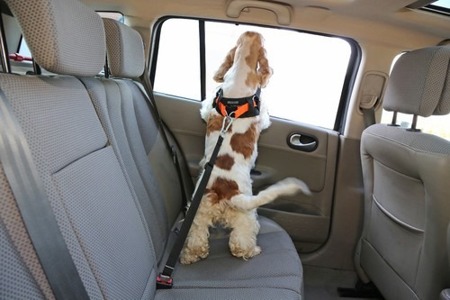 Szelki samochodowe + pas bezpieczeństwa dla psa Air 3D rozmiar XL Czarne